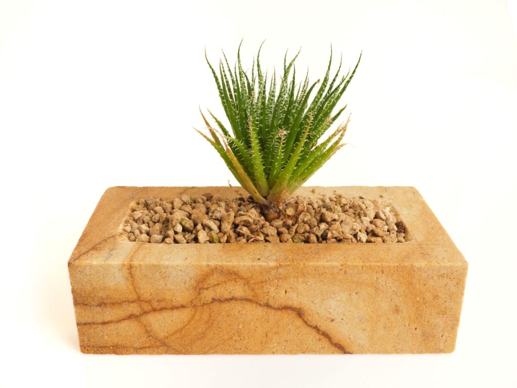 Kamenný květináč z pískovce osazený sukulentem. Stylová a odolná dekorace vhodná do interiéru i exteriéru. Kamenný květináč z pískovce z kamenolomu Vyhnánov osazený sukulentem. Stylová a odolná dekorace vhodná do interiéru i exteriéru.