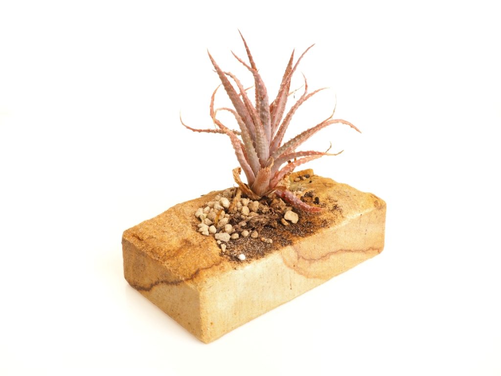 Kamenný květináč z přírodního pískovce. Ideální pro dekoraci zahrad, teras a balkónů. Stylový květináč z pískovce s vysokým obsahem křemene. Kamenolom Vyhnánov