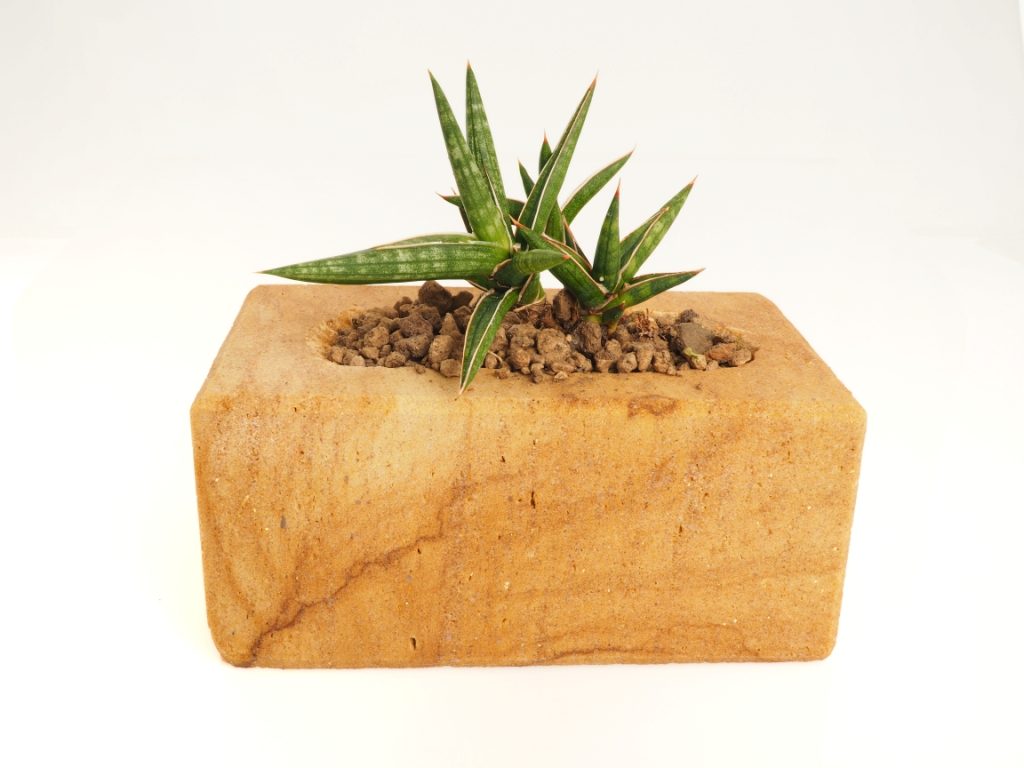 Stylový květináč z pískovce s vysokým obsahem křemene. Vhodný pro osazení sukulenty nebo jinými rostlinami. Stylový květináč z pískovce s vysokým obsahem křemene. Vhodný pro osazení sukulenty nebo jinými rostlinami.