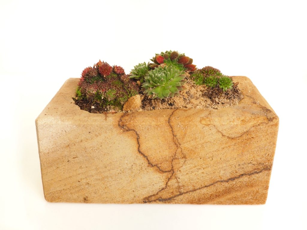 Kamenný květináč z pískovce osazený sukulentem. Stylová a odolná dekorace vhodná do interiéru i exteriéru. Kamenný květináč z pískovce osazený sukulentem. Stylová a odolná dekorace vhodná do interiéru i exteriéru.