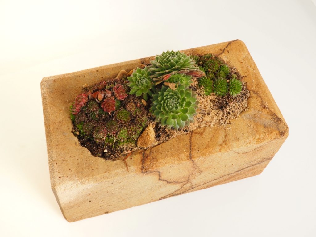 Kamenný květináč z pískovce z kamenolomu Vyhnánov osazený sukulentem. Stylová a odolná dekorace vhodná do interiéru i exteriéru. Kamenný květináč z pískovce z kamenolomu Vyhnánov osazený sukulentem. Stylová a odolná dekorace vhodná do interiéru i exteriéru.