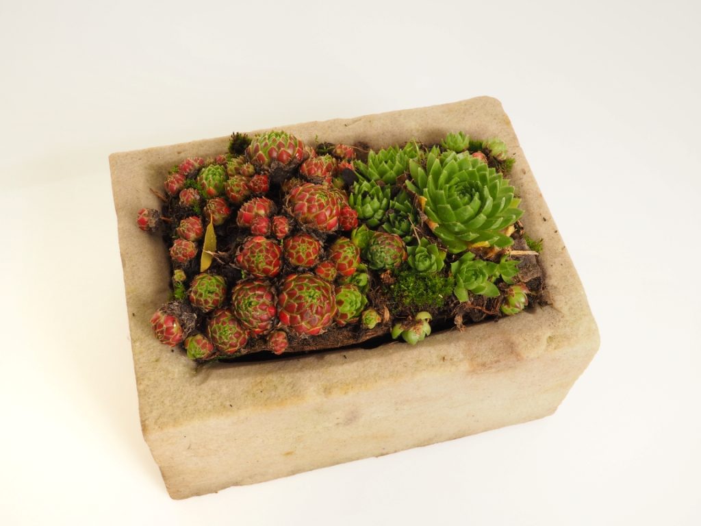 Kamenný květináč z přírodního pískovce. Ideální pro dekoraci zahrad, teras a balkónů. Kamenný květináč z přírodního pískovce. Ideální pro dekoraci zahrad, teras a balkónů.