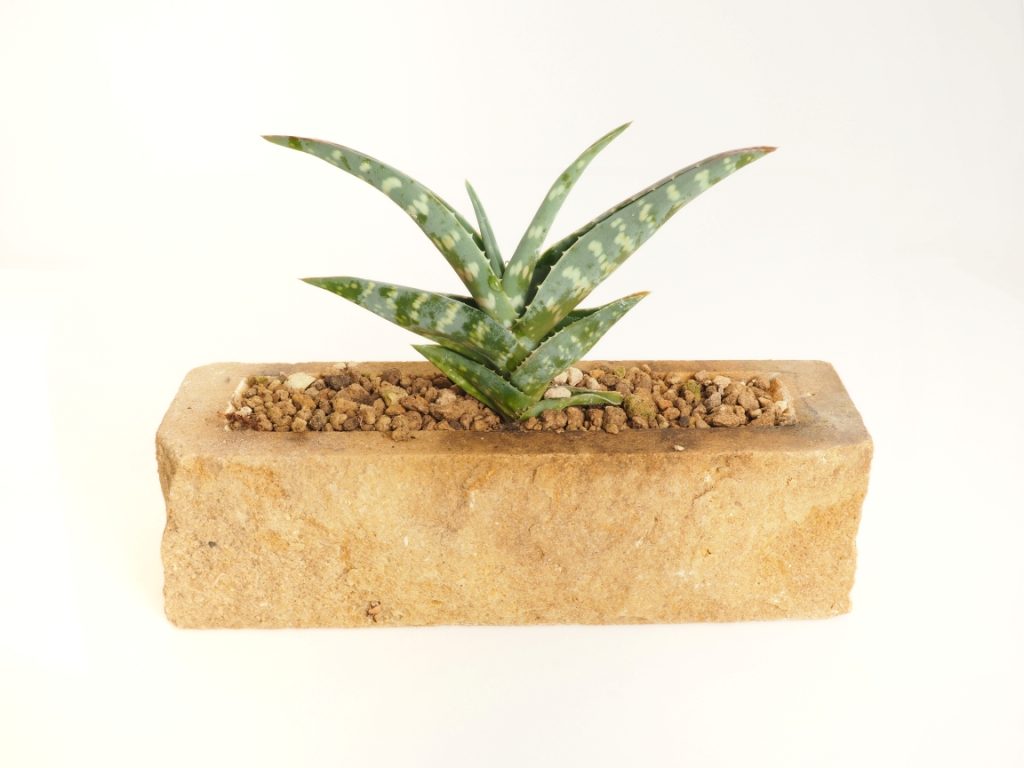 Pískovcový květináč - ručně opracovaný kámen s fládrováním a vysokou pevností. Pískovcový květináč. Pískovec z kamenolomu Vyhnánov