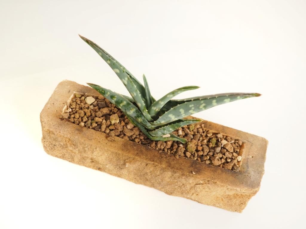 Pískovcový květináč - ručně opracovaný kámen s fládrováním a vysokou pevností. Kamenný květináč z pískovce z kamenolomu Vyhnánov. Pískovcový květináč