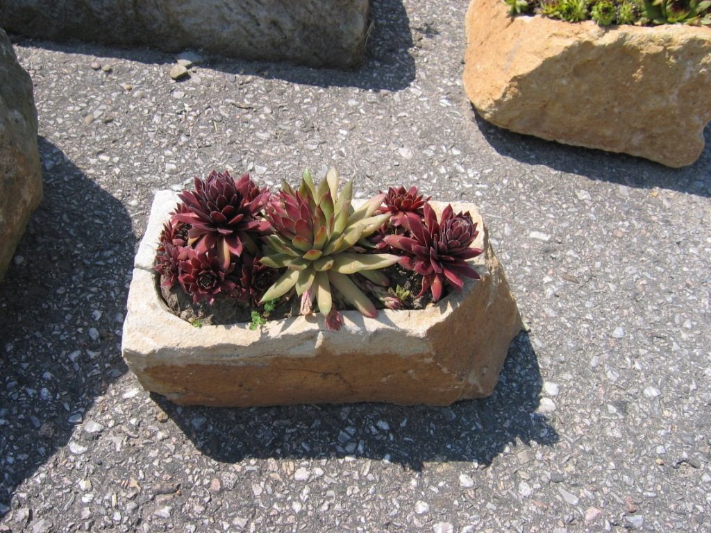 Malý pískovcový květináč - elegantní a odolný doplněk pro vaši zahradu, terasu nebo balkon. Pískovcový květináč - elegantní a odolný doplněk pro vaši zahradu, terasu nebo balkon.