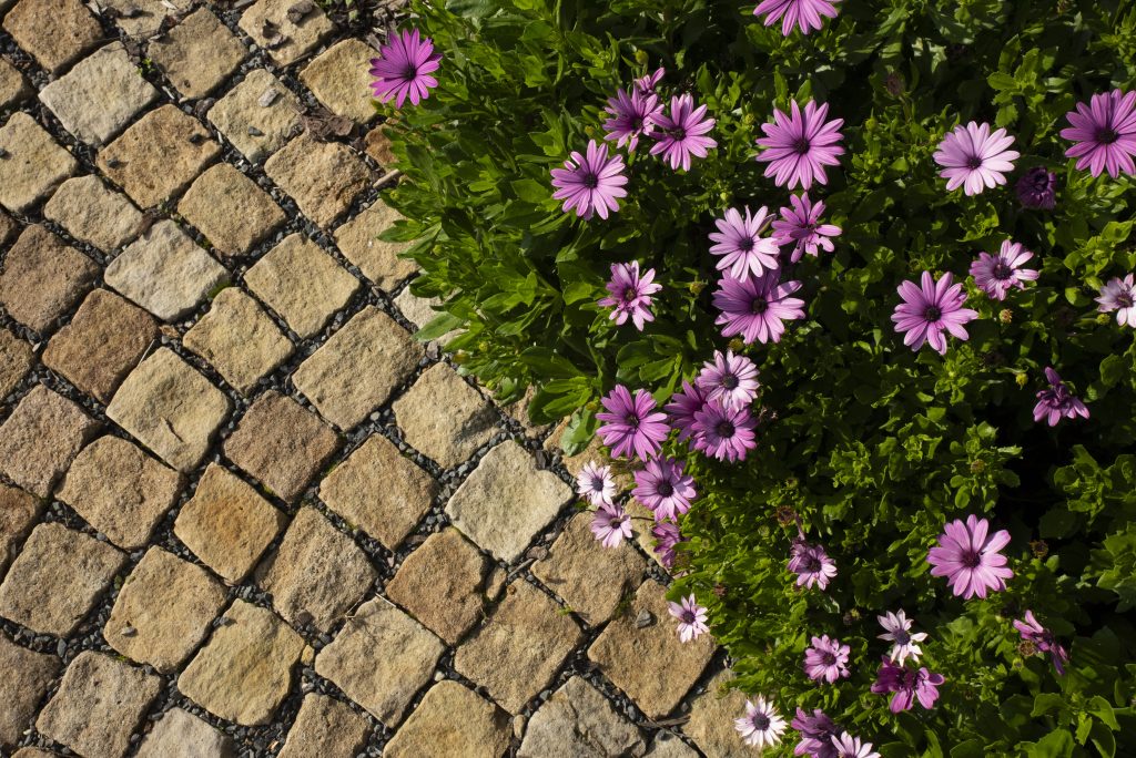 Kamenná dlažba Kamenná dlažba z vyhnanského pískovce, kde krásně vyniká barevnost kamene.