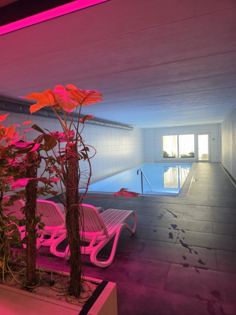 ddff5af2-423c-43ae-bce3-9fa59c707e11